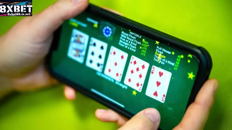 ca cuoc co trach nhiem quy dinh tai 8xbet nam 2026